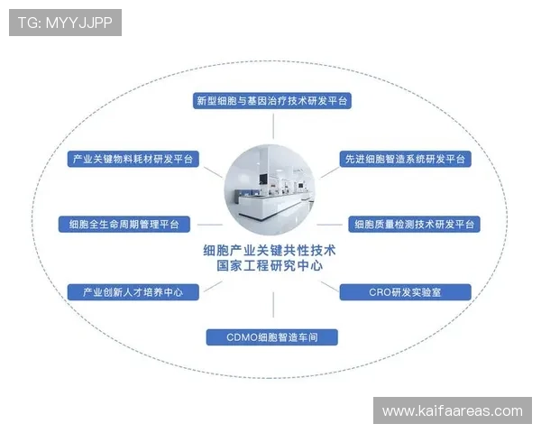 凯发集团网页版登录官网:官方平台登录流程详细步骤指南 凯发集团网页版登录官网:官方平台登录流程详细步骤指南