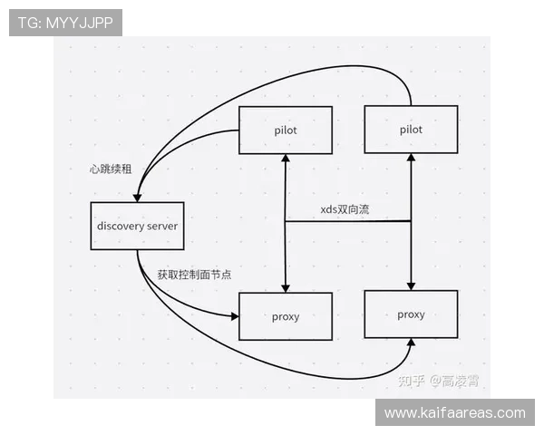 PA亚娱在年轻用户群体中的影响力扩展及其背后的成功策略